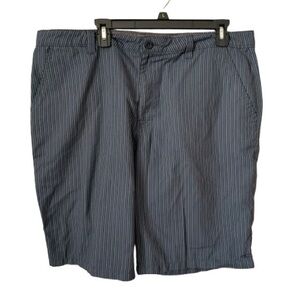 O’Neill Men's Striped Blue Shorts
